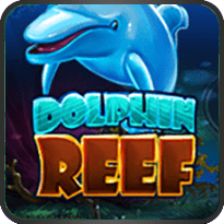 dolphin reef